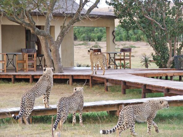 Hlosi Game Lodge - Exterior
